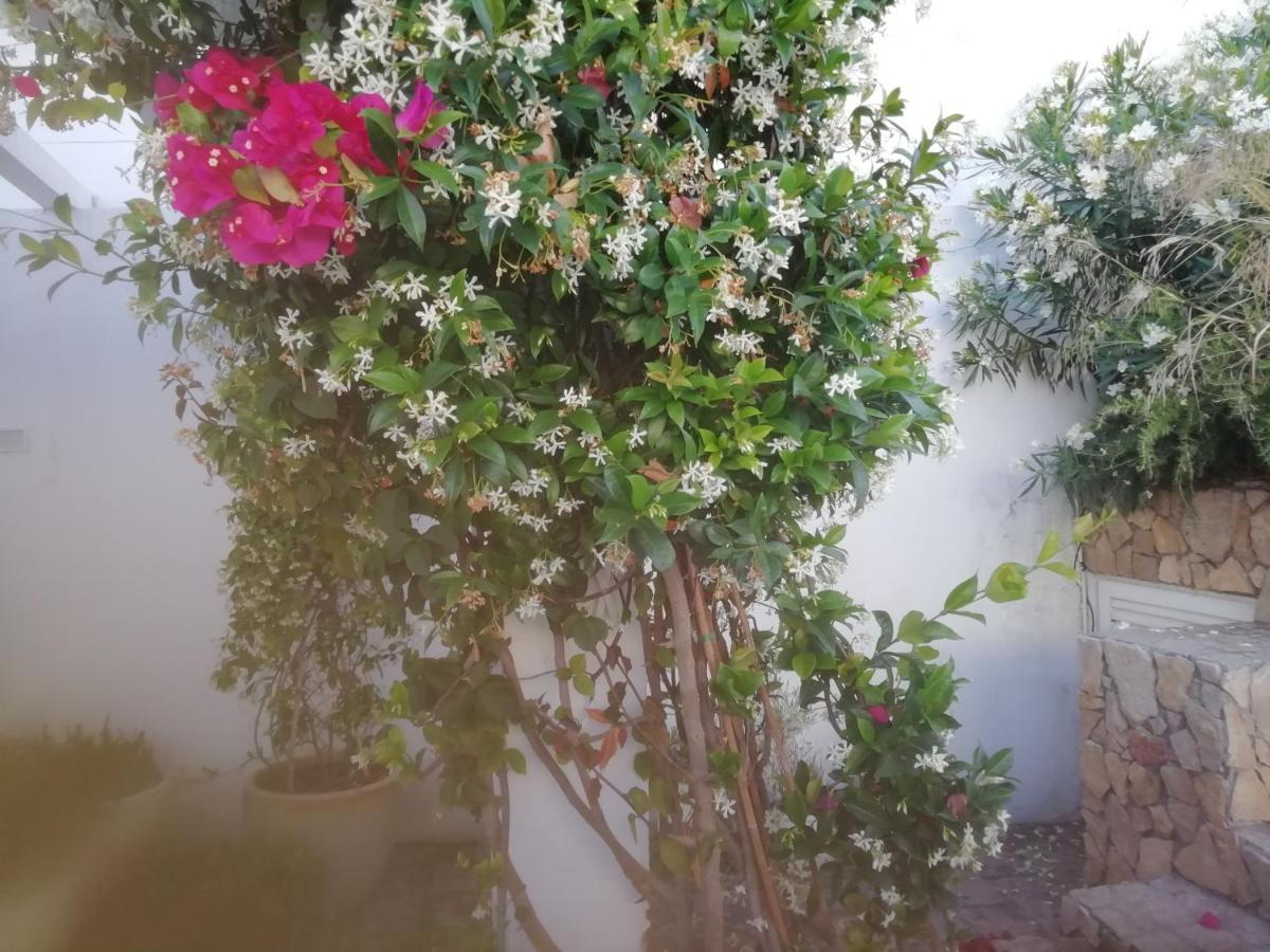Appartamento Casa Do Jardim Beja Esterno foto