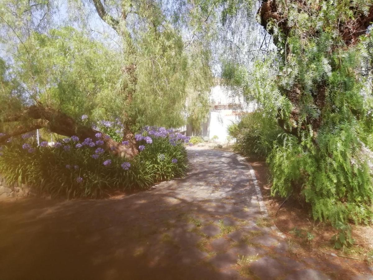 Appartamento Casa Do Jardim Beja Esterno foto